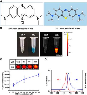 Near-infrared fluorophores methylene blue for targeted imaging of the stomach in intraoperative navigation